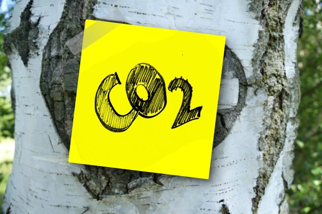 Co2, Carbon Dioxide, Carbon, Oxygen, Tree, Bark, Birch, Nature, Memo, Note