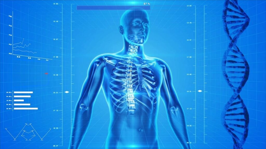 Human Skeleton, Human Body, Anatomy, X Ray, Human Bones, Skeletal System, Healthcare, Medicine, Dna, Helix, Rib Cage, Skeleton, Digital Art, Human Body, Human Body, Human Body, Human Body, Human Body, Healthcare, Dna