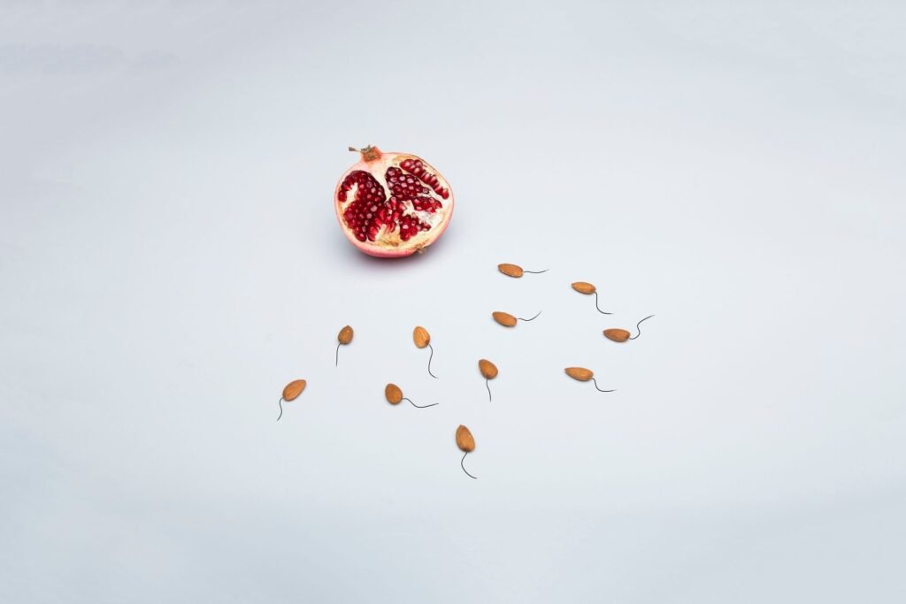 Creative Arrangement Of Pomegranate And Almond Seeds Representing Fertility.