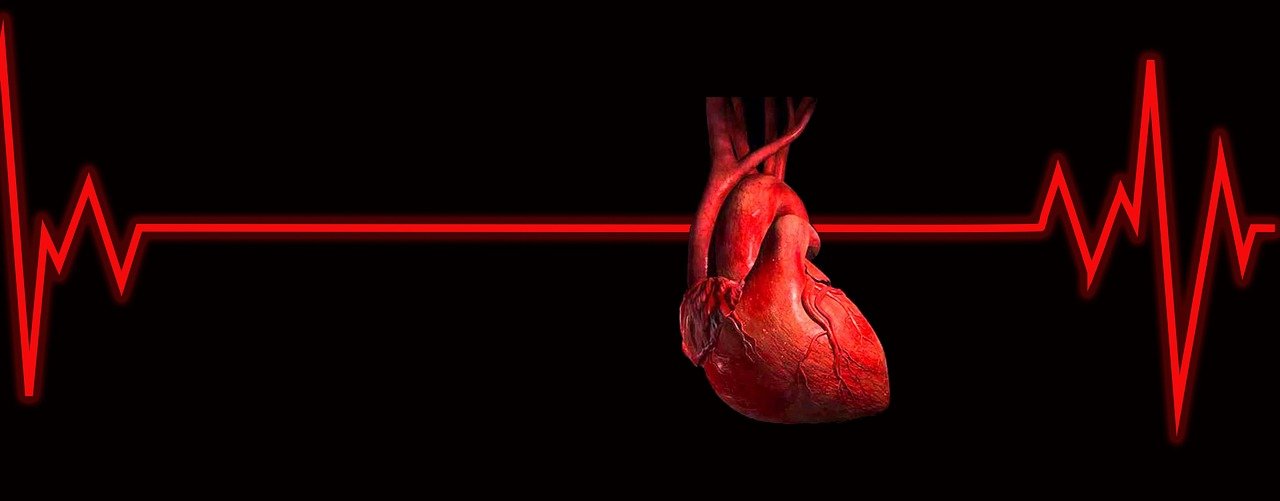 Heart-shaped object with a medical heartbeat line representing cardiac BNP blood testing