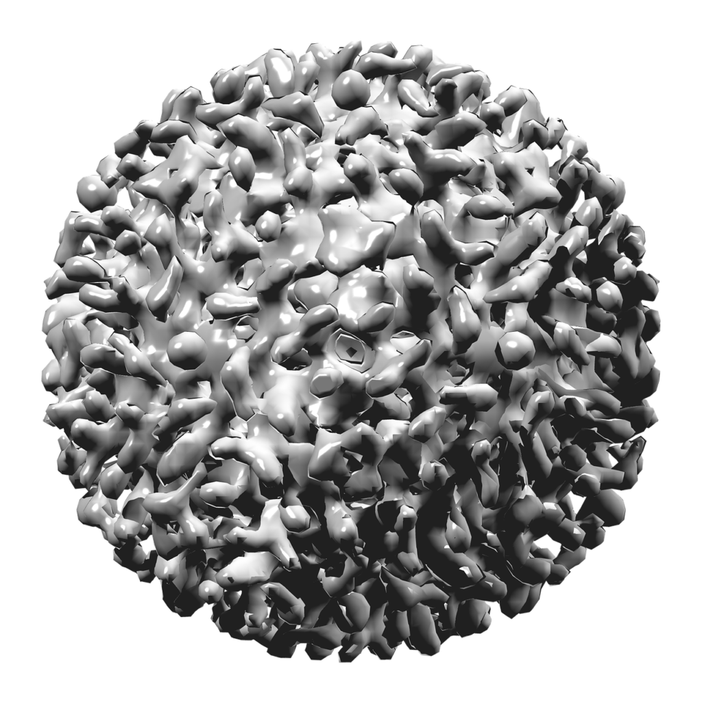 Hepatitis B Virus, Virus, 3d, Structure, Medicine, Biology, Science, Gray Virus, Gray Science, Gray Medicine