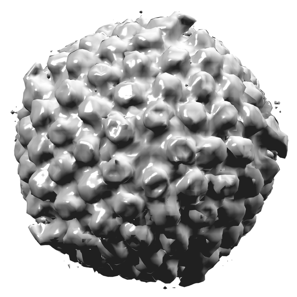 Herpes Simplex Virus Type I, Virus, Medicine, Biology, Science, Gray Virus, Gray Science, Gray Medicine