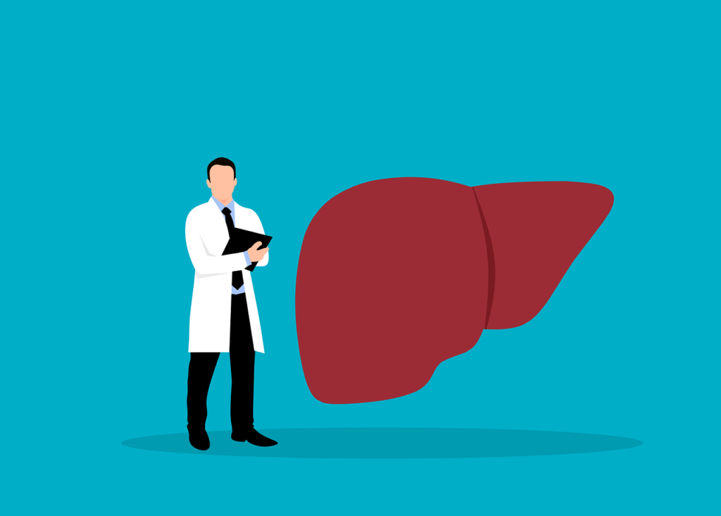 Liver, Internal Medicine, Doctor, Healthcare, Anatomy, Health, Medicine, Liver, Liver, Liver, Liver, Liver