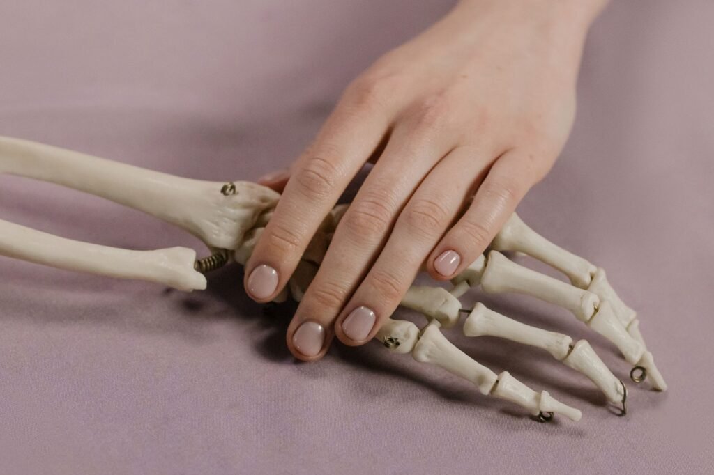 A Close Up Image Of A Human Hand Touching A Skeleton Hand On A Soft Background.