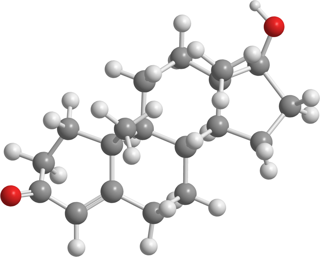 Testosterone, Organic Chemistry, Hormones, Testosterone, Testosterone, Testosterone, Testosterone, Testosterone, Hormones
